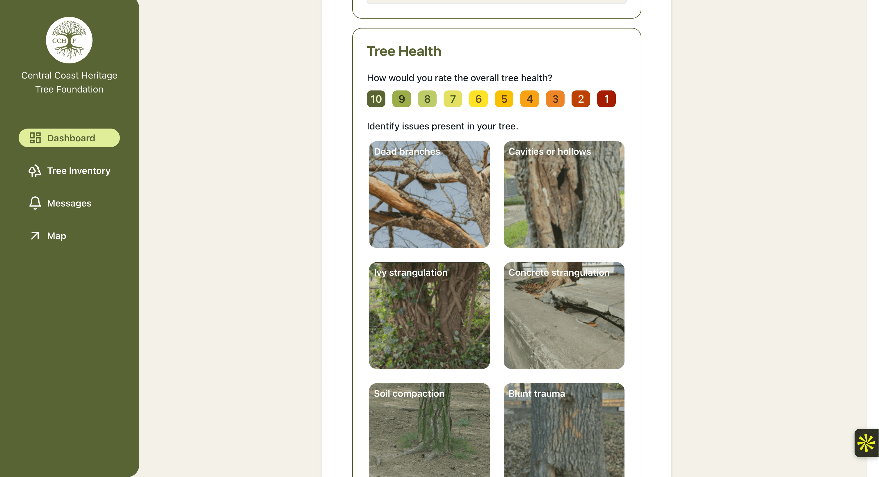 Heritage Tree inventory app tree-health form with a rating scale and illustrated issue selections